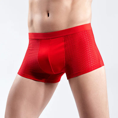AeroFlex™ Men’s Breathable Mesh Boxers