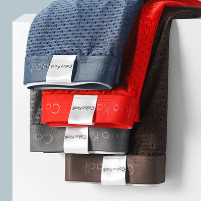 AeroFlex™ Men’s Breathable Mesh Boxers