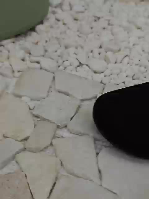 Serenya – Everyday Walkers